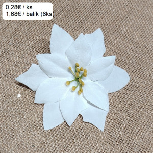 Vianočný kvet / 1435