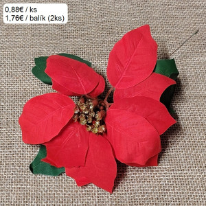 Vianočný kvet / 1436