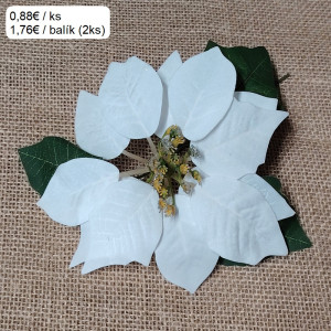 Vianočný kvet / 1436