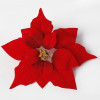Vianočný kvet Red / 171601