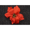 Vianočná ruža  / 2415