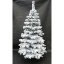 251. Vianočný strom Jedla zasnežená 220cm