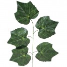 Vinič halúzka / 100477
