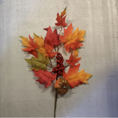 Halúzka jesenná s tekvicou /113401