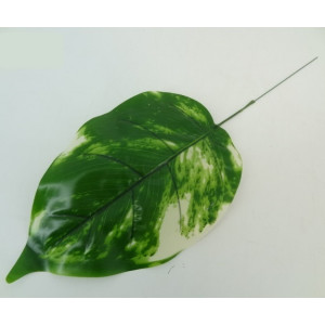 List Cream-Green / 123974