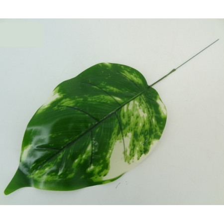 List Cream-Green / 123974