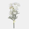 Kytica Protea Cream / 130101