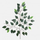 Ficus 3-konár / 225001