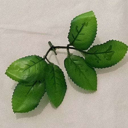 Dvojlist Ruža / 2712