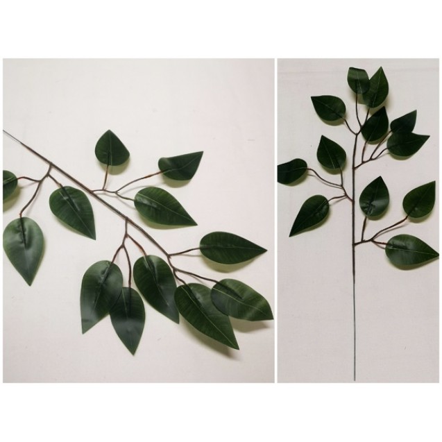 List Ficus Green M / 301222 