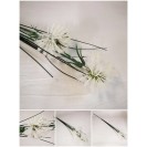 Cibuľa stonková White / 3090