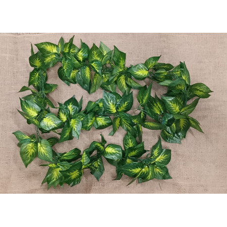 Tahačka listová / 316069