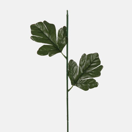 Stonka na chryzantemu/3178