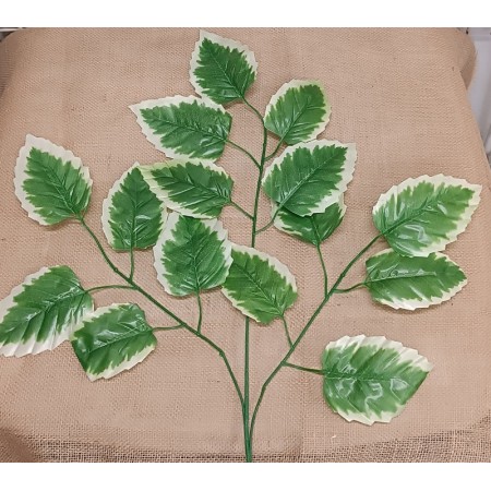 Brest 3-Konár White-Green / 323301