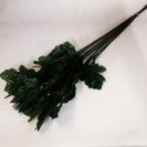 Stonka Chryzantéma / 4017