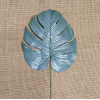 Monstera Green-Silver  / 4072