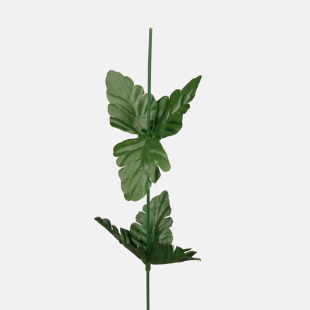 Stonka Chryzantéma / 5080