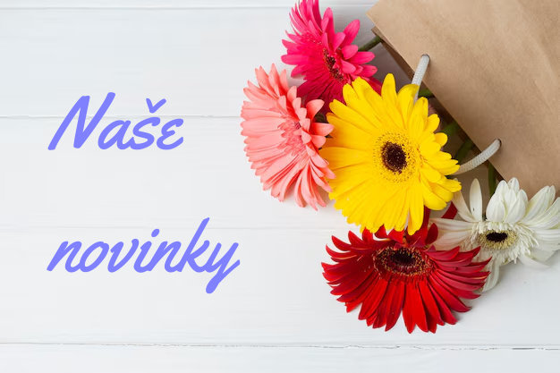 Novinky Novinky
